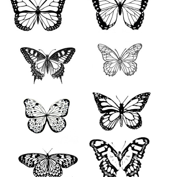 8 Butterflies