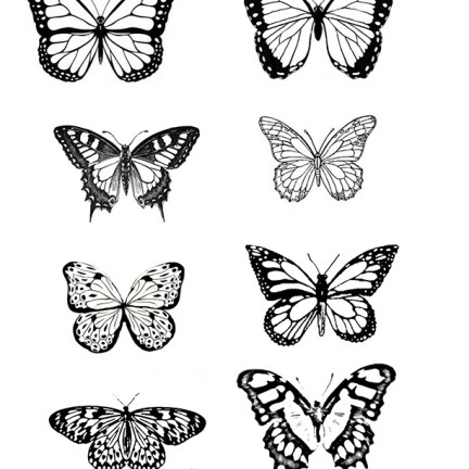 Vintage Butterfly Download | Shop