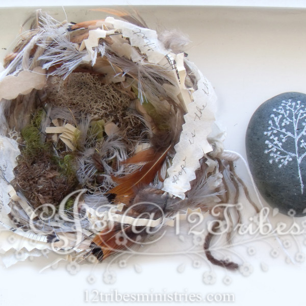 Artisan Fiber Bird Nest #5